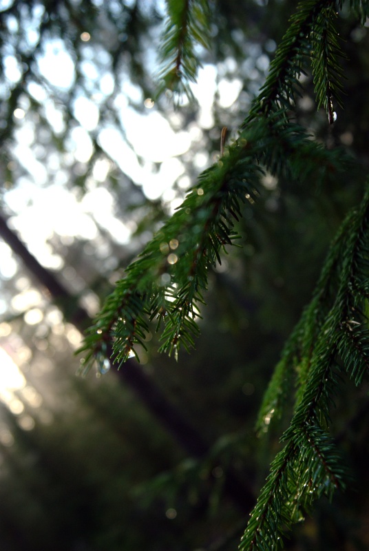 фото