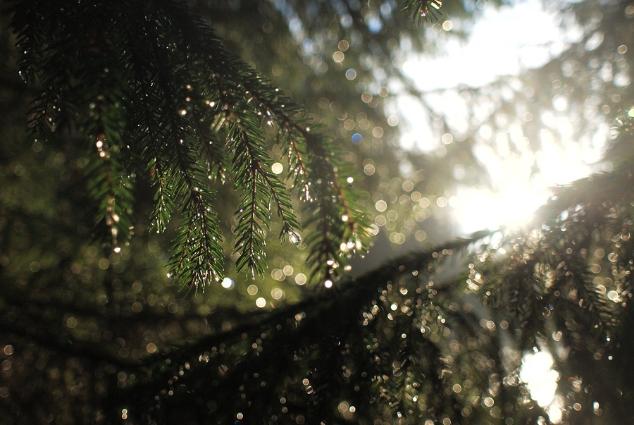 фото