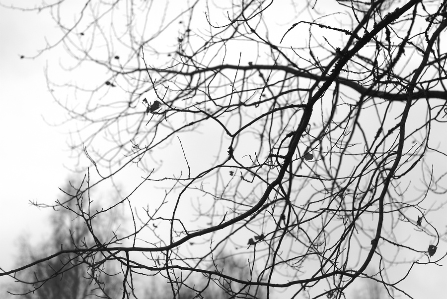 фото