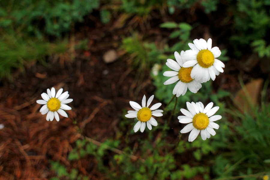 фото