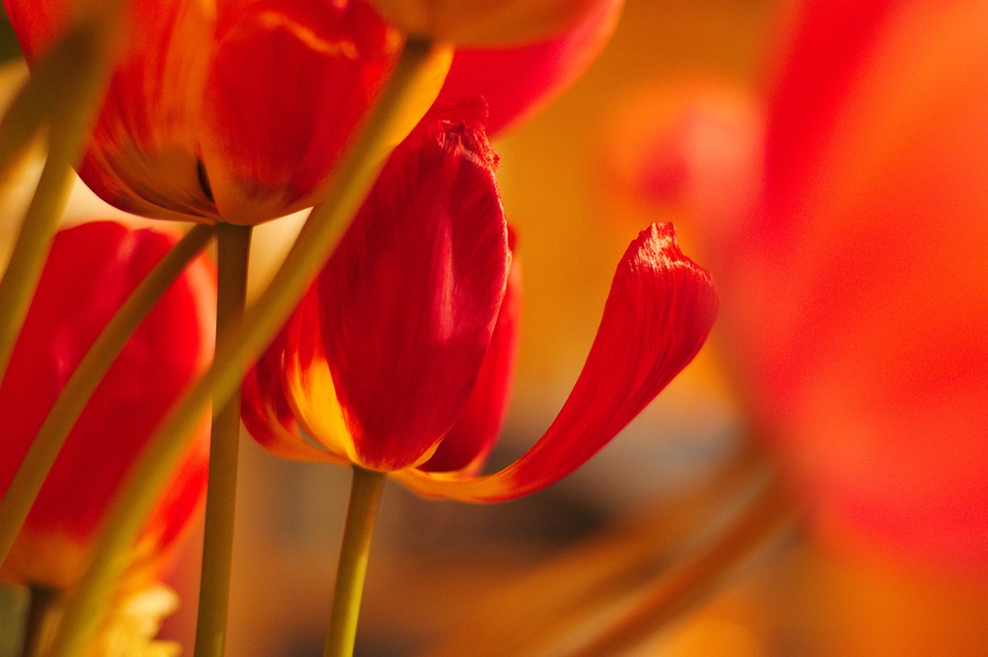 фото